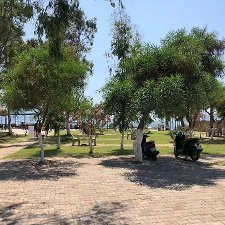 Zirkon Beach Camping 营地